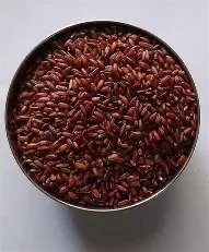 mappillai samba oryza sativa