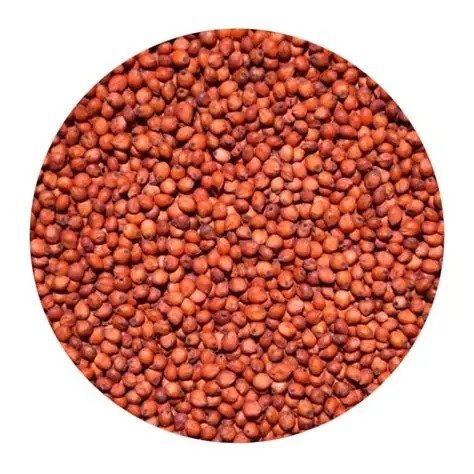red country corn (Sorghum bicolor)
