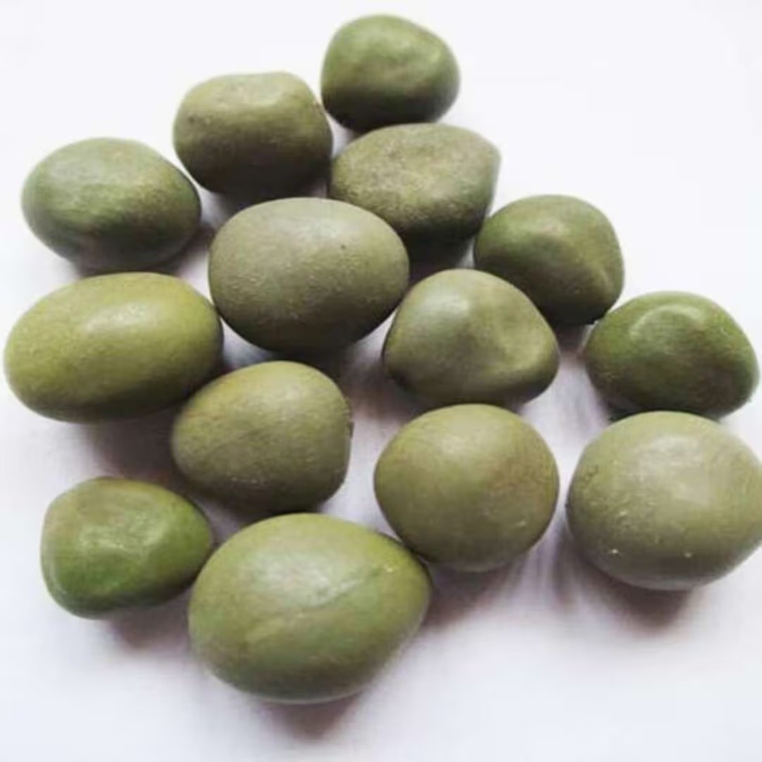 KALARCHIKAI (CAESALPINIA BONDUC)