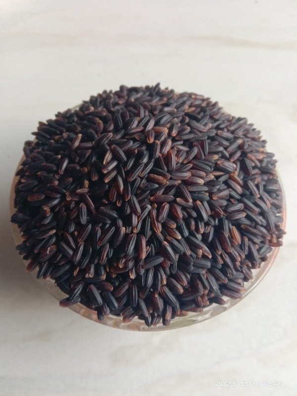 karuppu kavuni  Oryza sativa