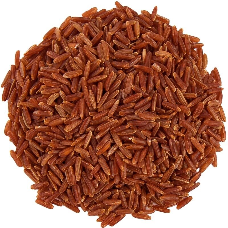 Rathasali Rice Oryza sativa